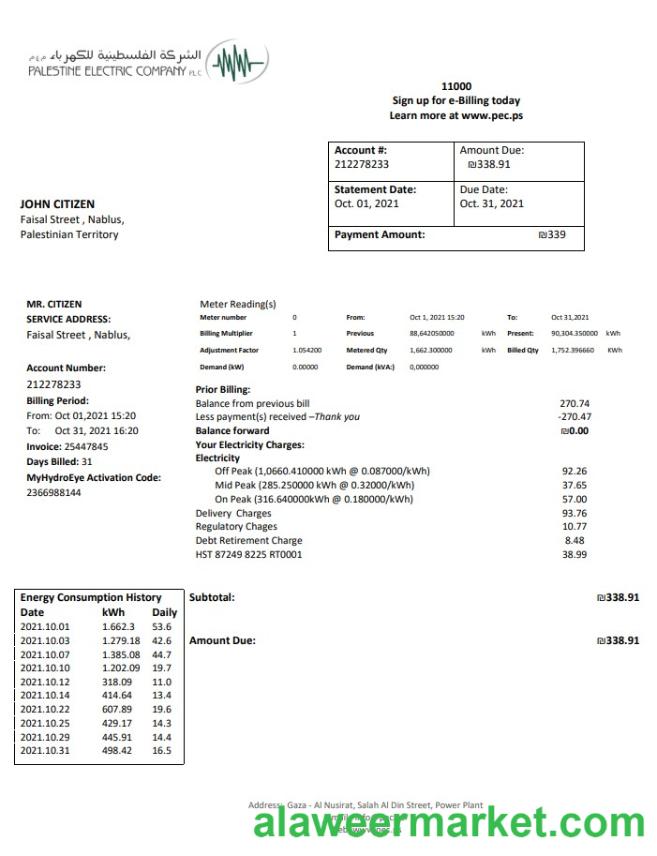 Palestine Electric Company (PEC) utility bill template in Word and PDF format